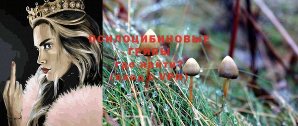 ALPHA PVP Зеленокумск